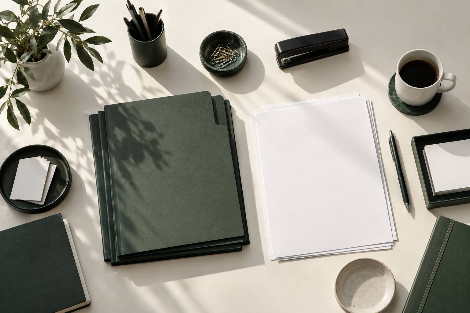 Chemises cartonnees et accessoires de bureau ranges